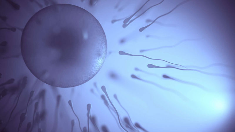 Embriyo Transferi Sonrası Takip
